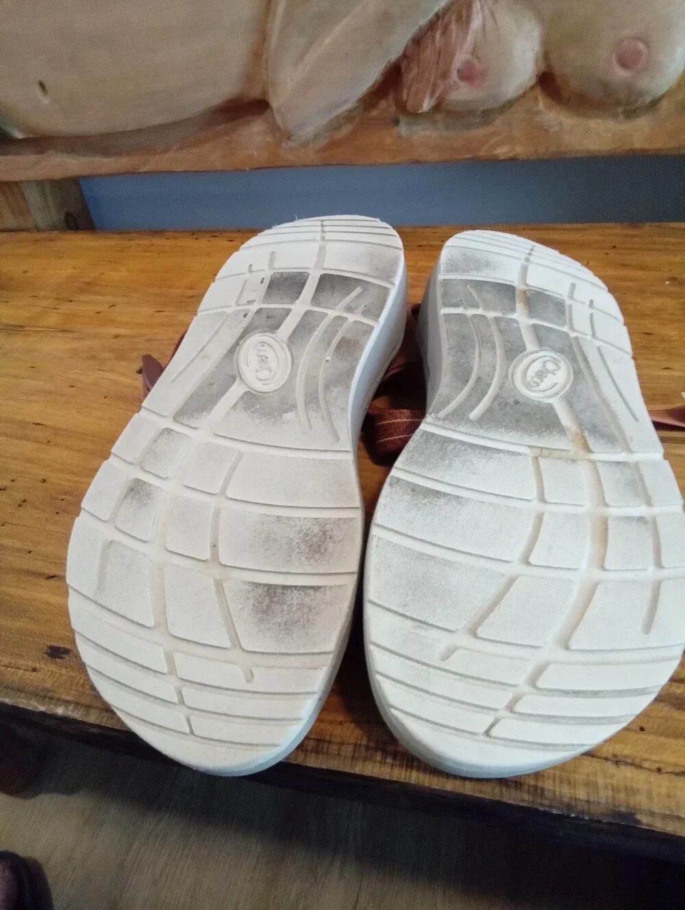 Chaco CushZ Toe-Loop Extra Cushioned Sandals Women's Sz 9 Frond Pink Salt